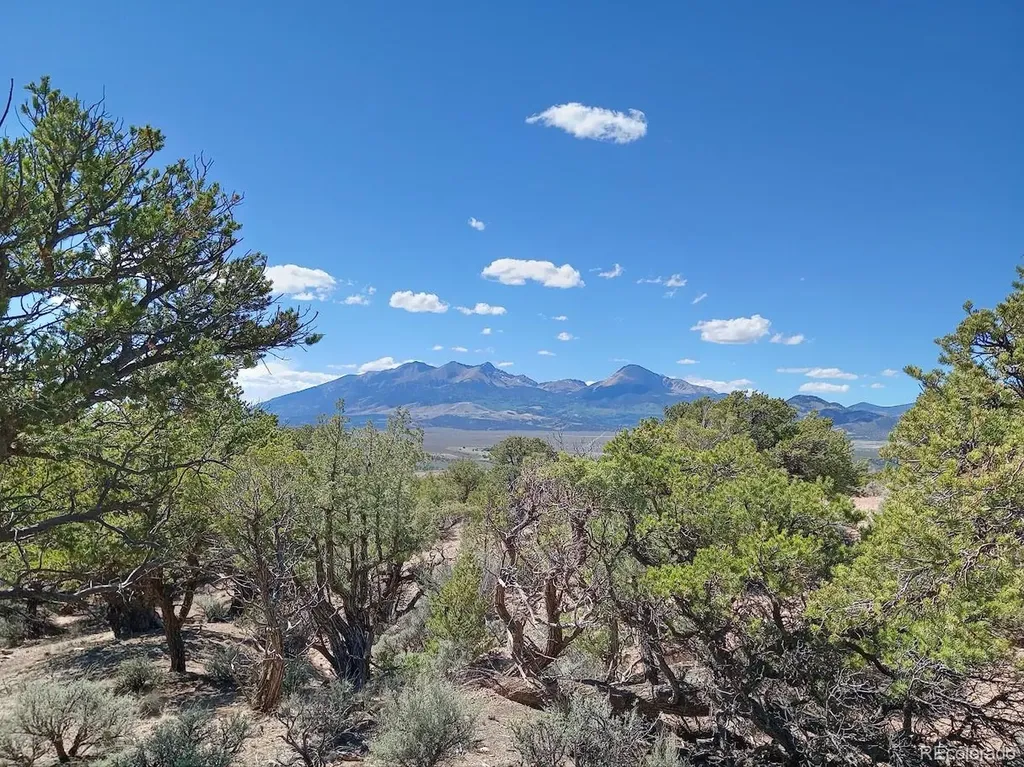 5 Acres Reg Jones Road Fort Garland CO 81133