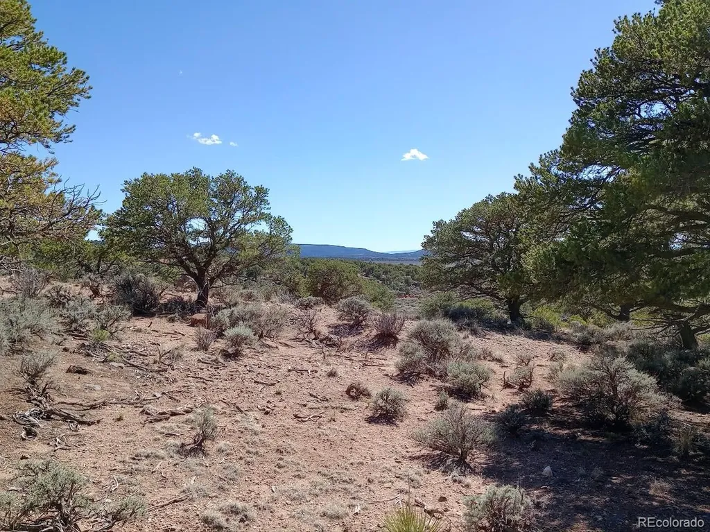 5 Acres Reg Jones Road Fort Garland CO 81133