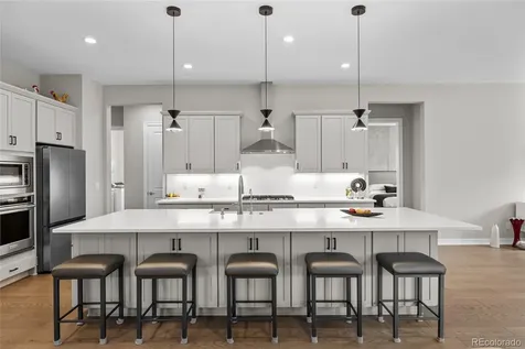 838 Bahia Point Castle Rock CO 80104
