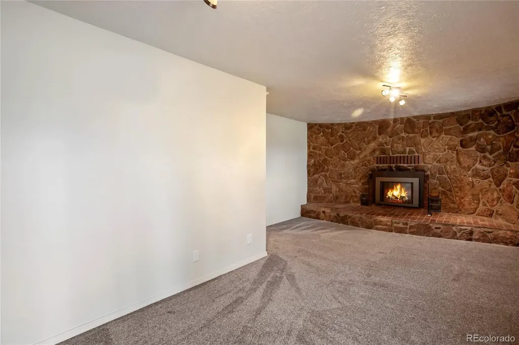 45 Barr Lake Circle Divide CO 80814