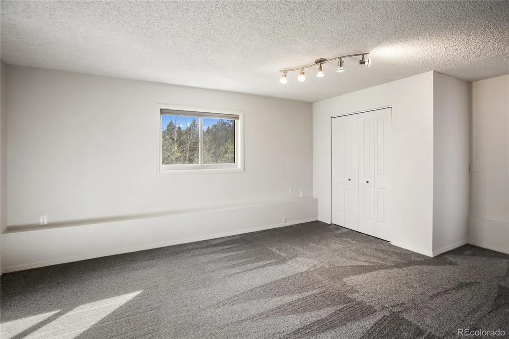 45 Barr Lake Circle Divide CO 80814