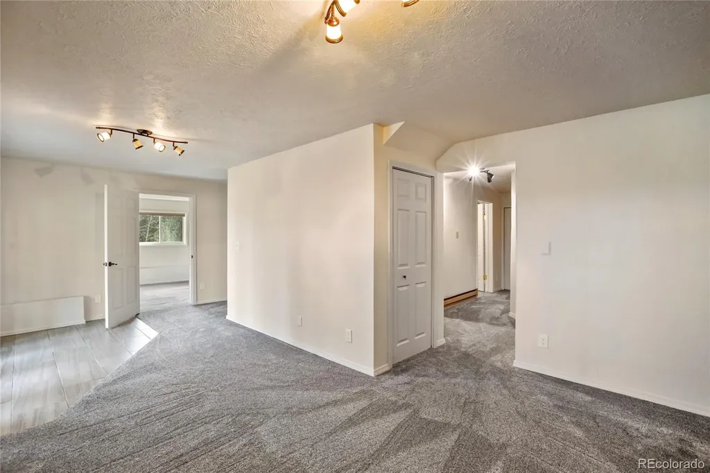 45 Barr Lake Circle Divide CO 80814