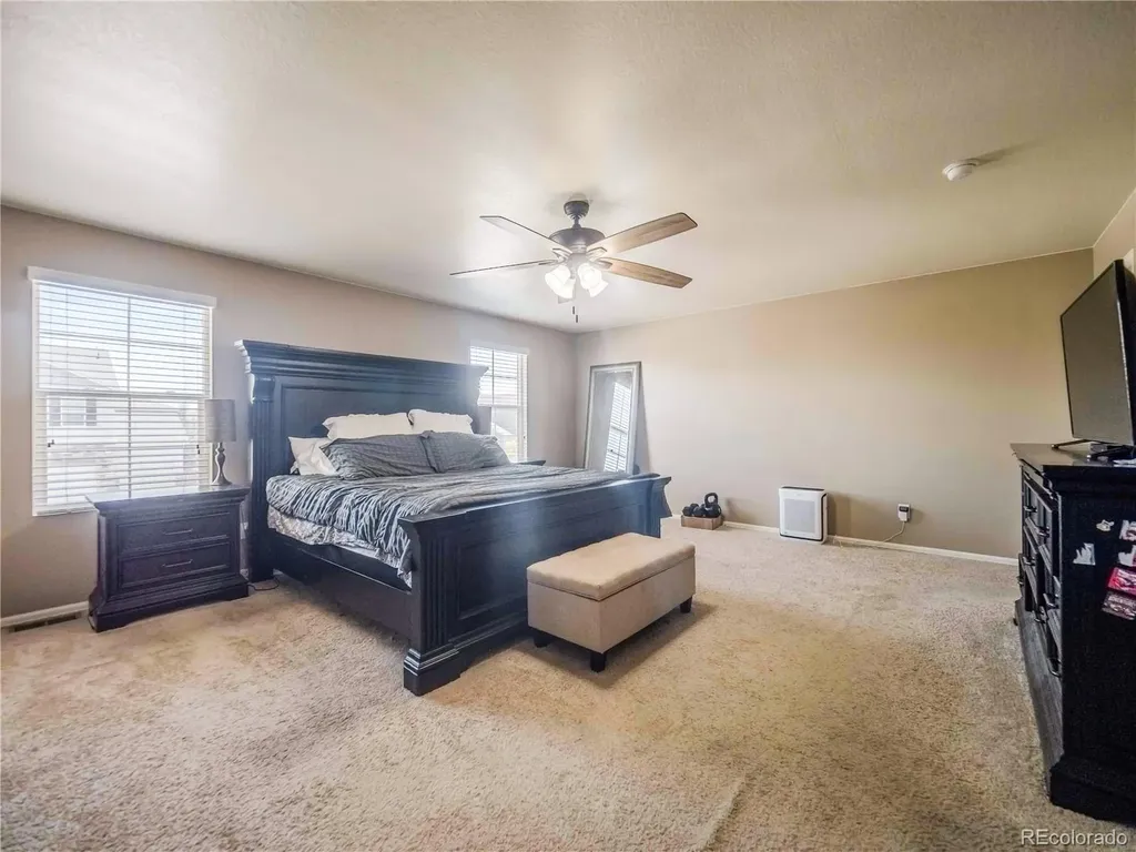 914 Charlton Drive Windsor CO 80550
