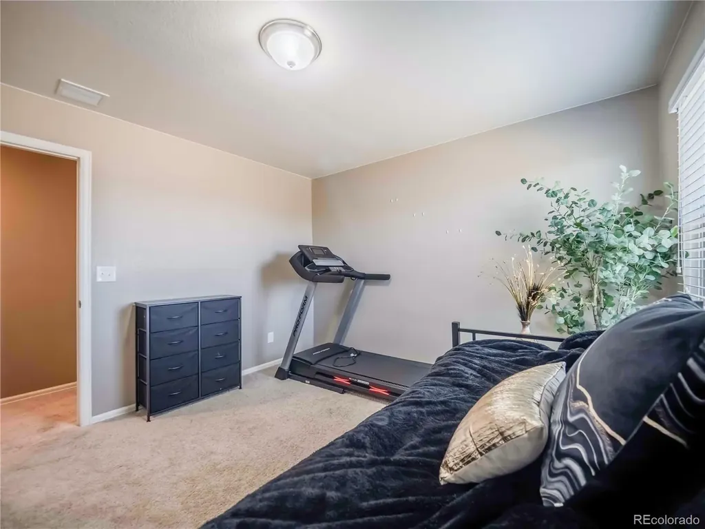 914 Charlton Drive Windsor CO 80550