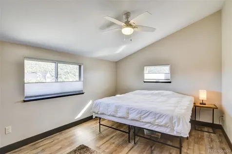 104 River Run Drive Buena Vista CO 81211