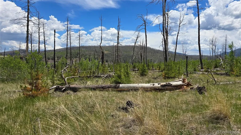 Lot 1617 Kopf Lane Fort Garland CO 81133