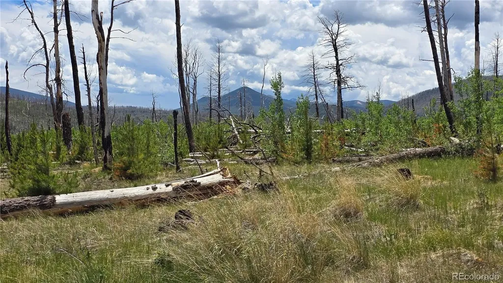 Lot 1617 Kopf Lane Fort Garland CO 81133