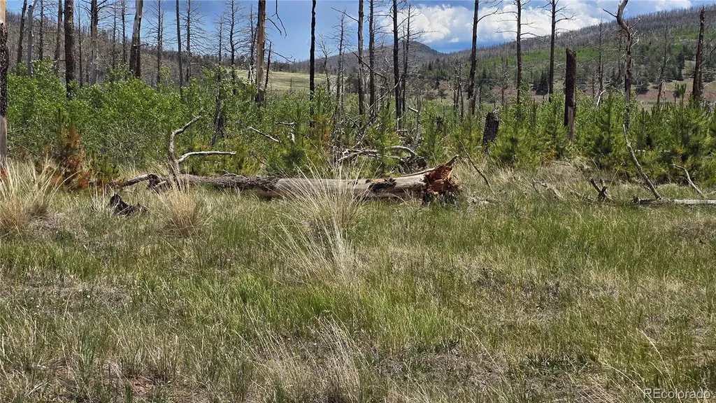 Lot 1617 Kopf Lane Fort Garland CO 81133