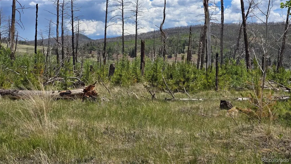 Lot 1617 Kopf Lane Fort Garland CO 81133