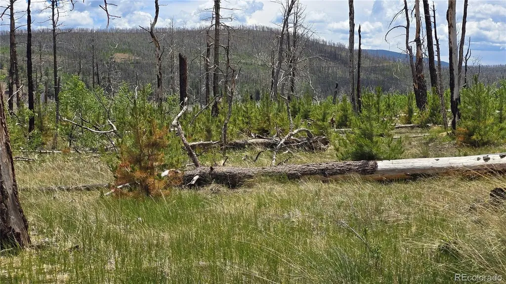 Lot 1617 Kopf Lane Fort Garland CO 81133