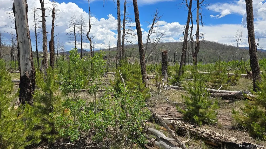 Lot 1617 Kopf Lane Fort Garland CO 81133
