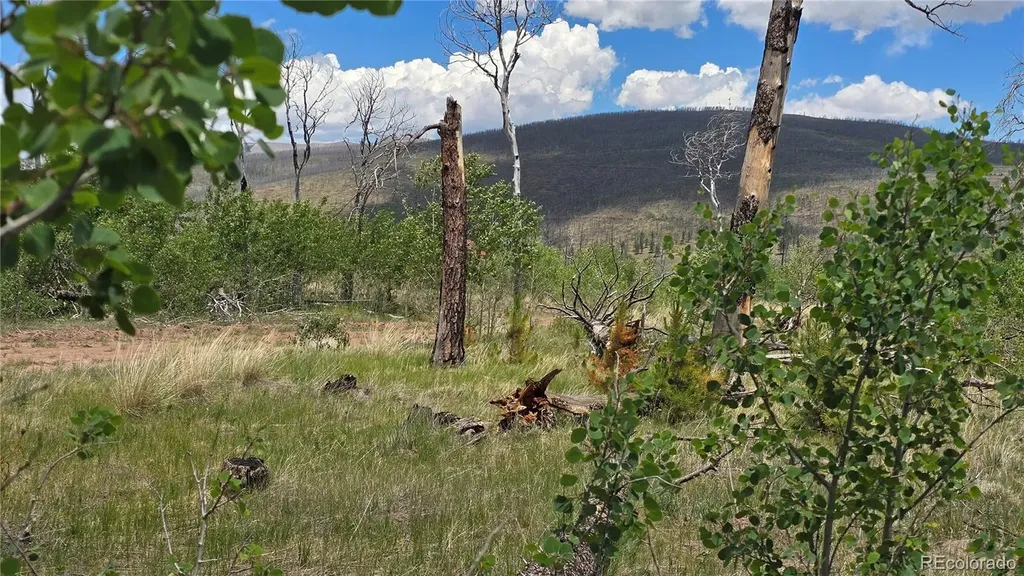 Lot 1617 Kopf Lane Fort Garland CO 81133