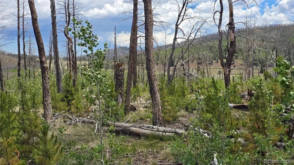 Lot 1617 Kopf Lane Fort Garland CO 81133