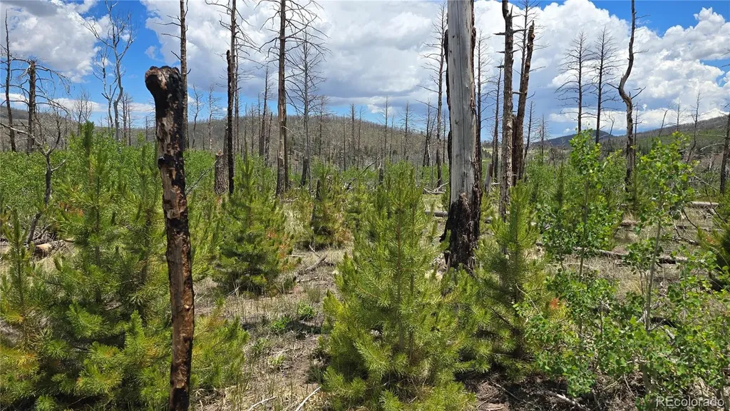 Lot 1617 Kopf Lane Fort Garland CO 81133