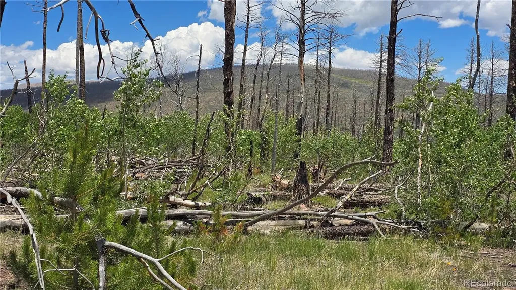 Lot 1617 Kopf Lane Fort Garland CO 81133