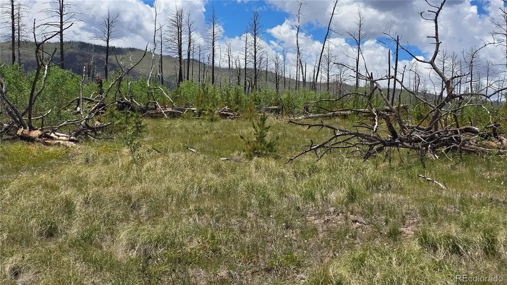 Lot 1617 Kopf Lane Fort Garland CO 81133