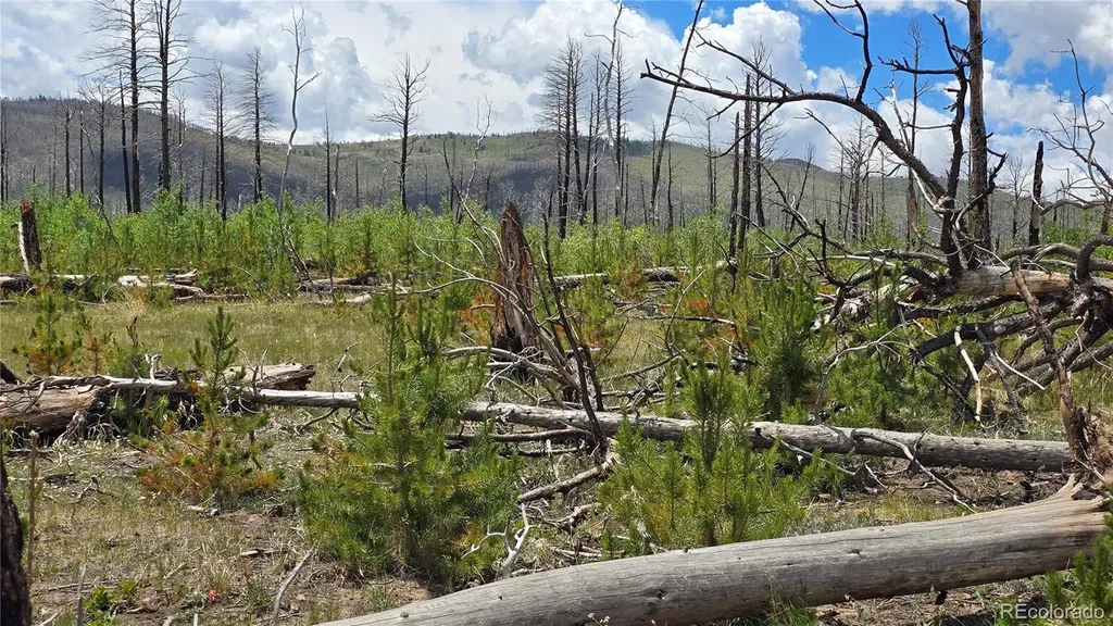 Lot 1617 Kopf Lane Fort Garland CO 81133