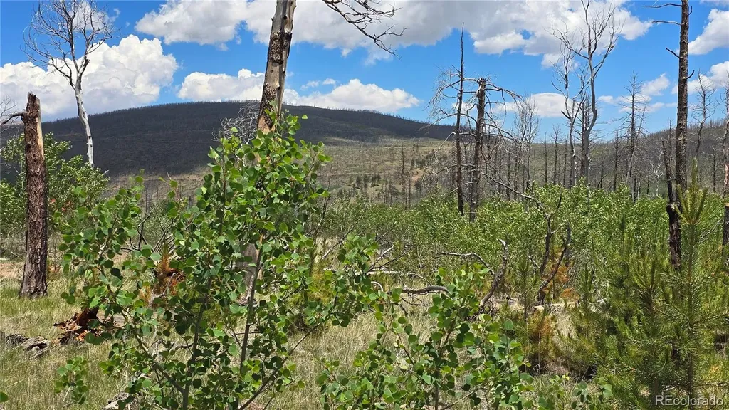 Lot 1617 Kopf Lane Fort Garland CO 81133