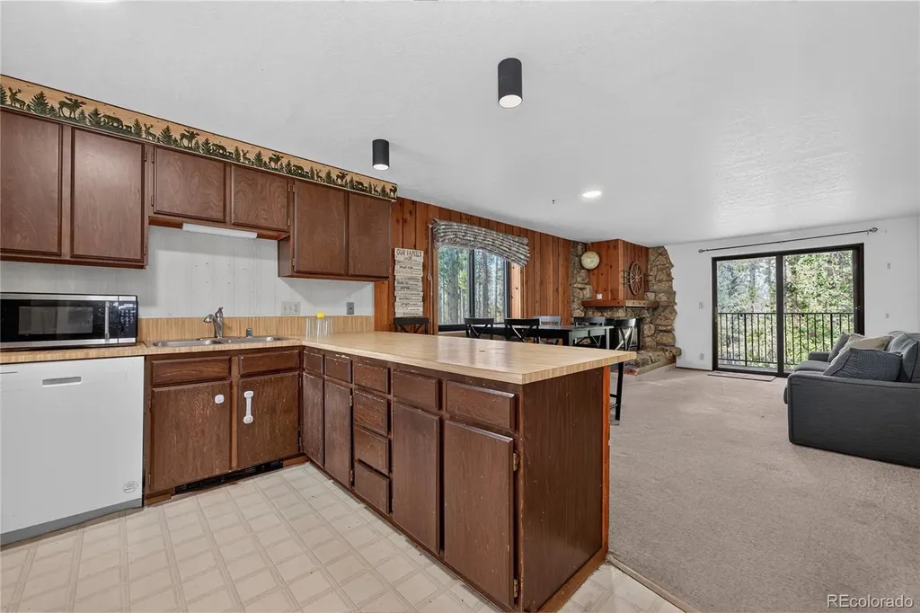 214 GCR 702/village Drive Winter Park CO 80446