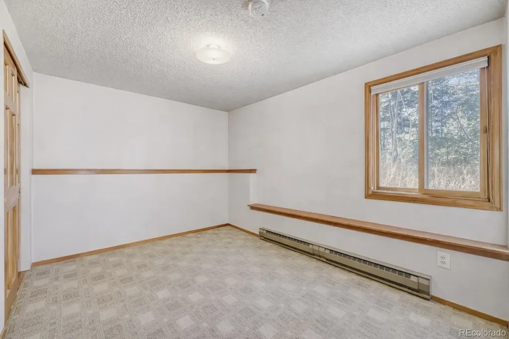 26196 Rea Avenue Conifer CO 80433
