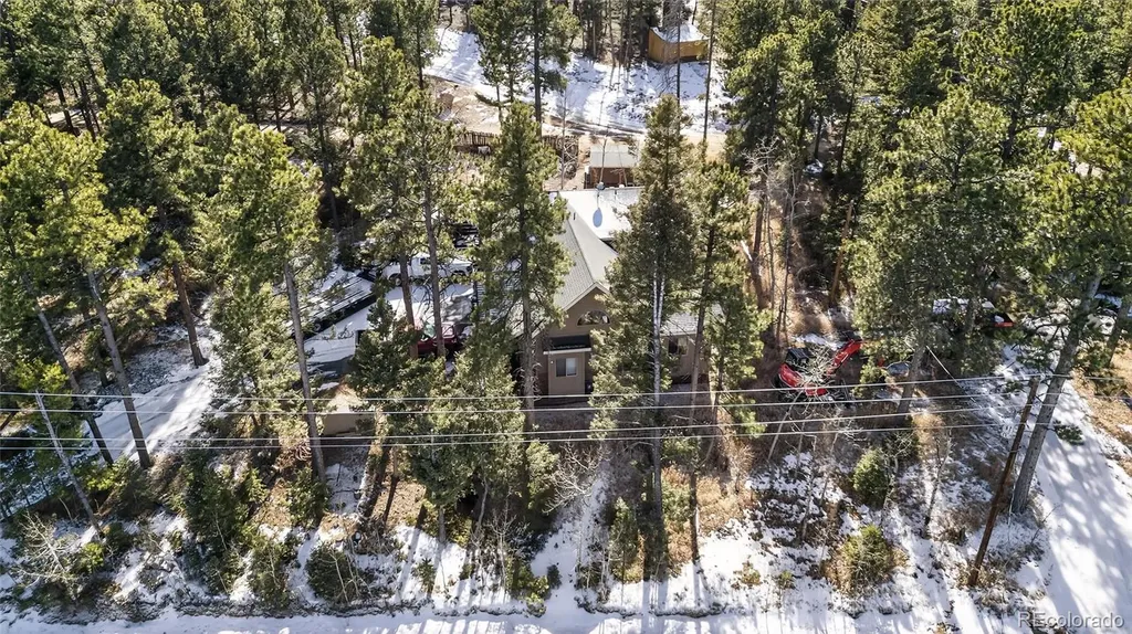 26196 Rea Avenue Conifer CO 80433