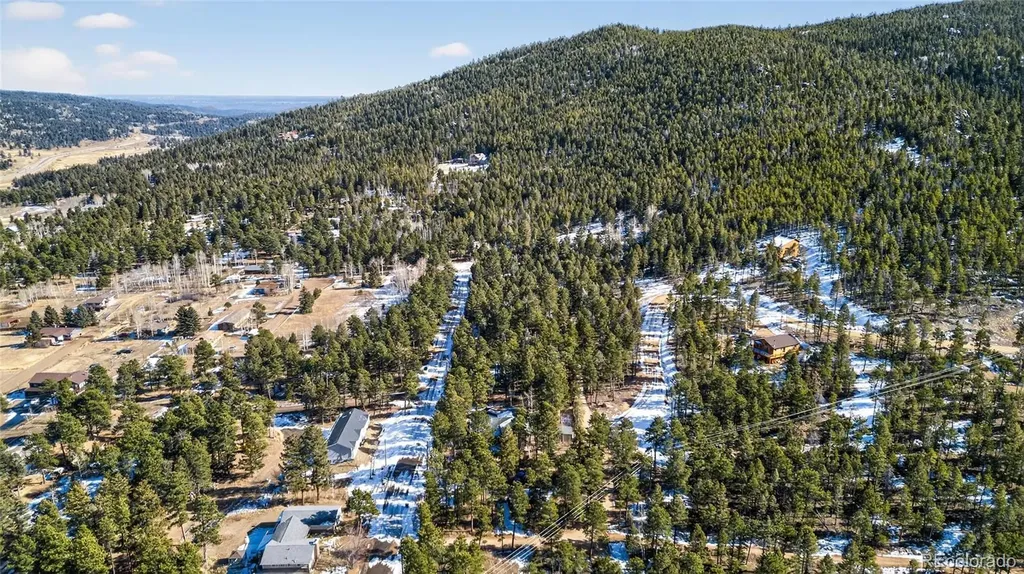 26196 Rea Avenue Conifer CO 80433