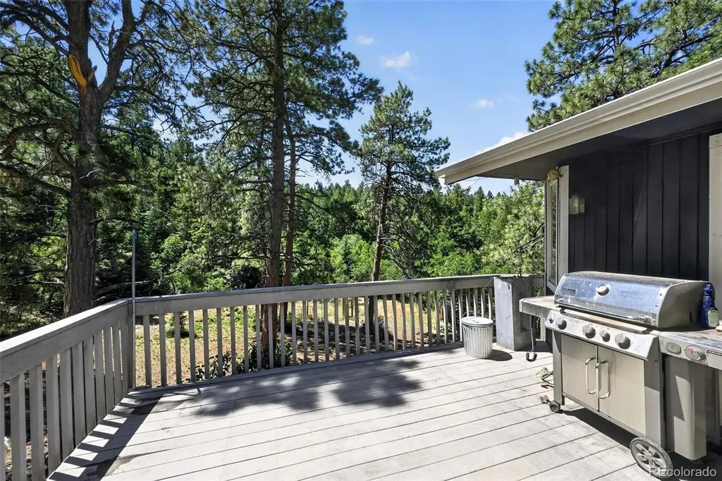 1030 E Possee Road Castle Rock CO 80108