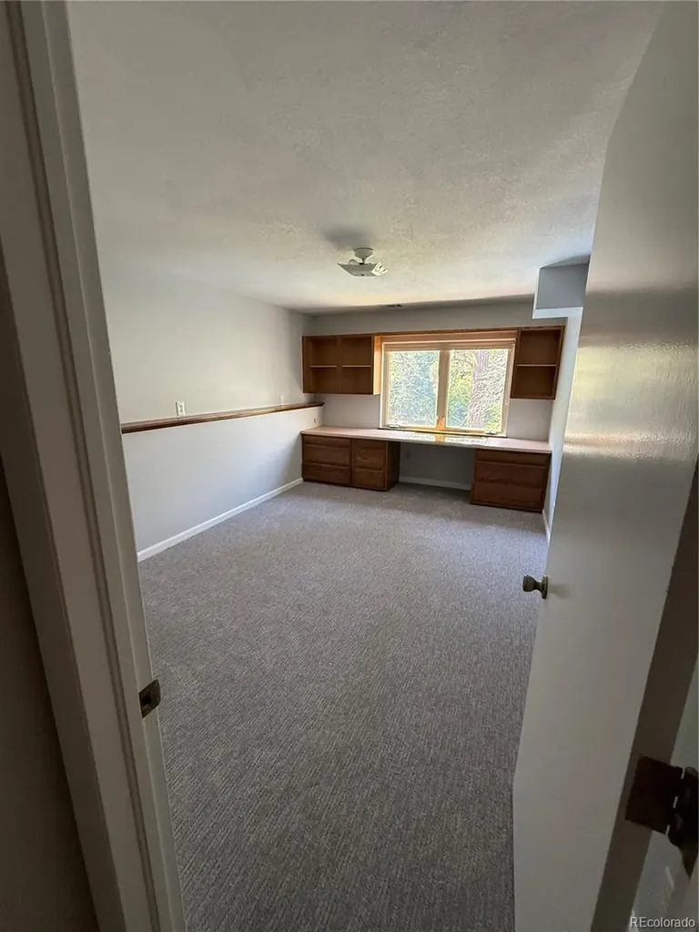 1030 E Possee Road Castle Rock CO 80108