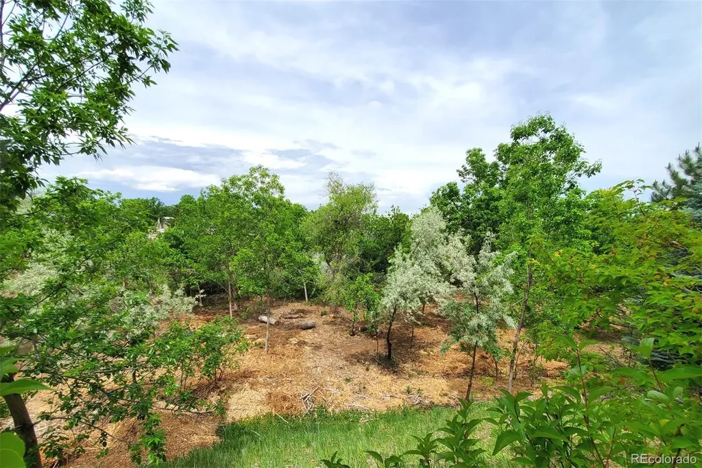 6697 S Forest Way Centennial CO 80121