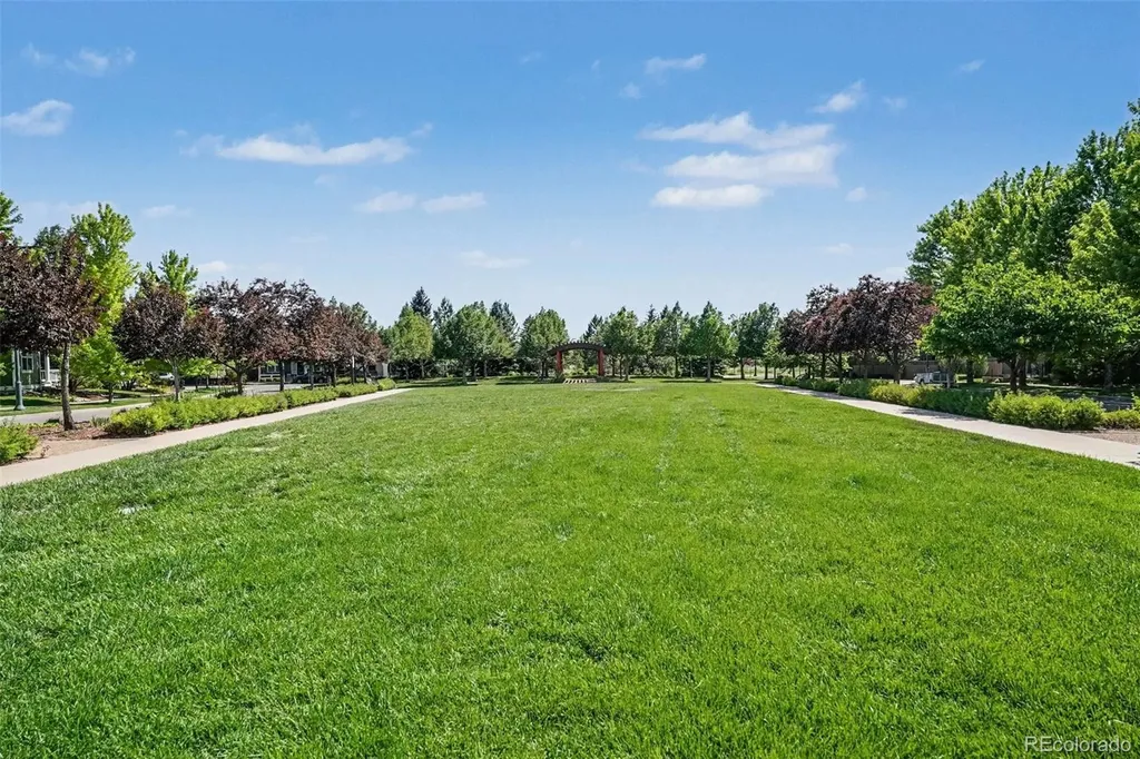 3156 Elmira Court Denver CO 80238