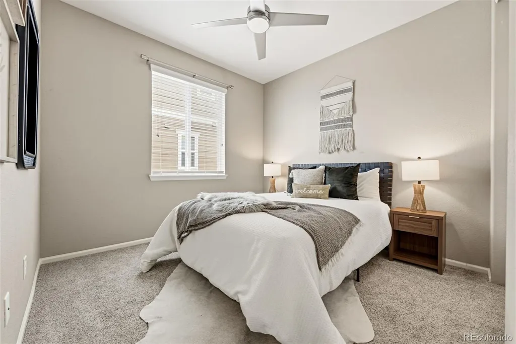 6388 Agave Avenue Castle Rock CO 80108