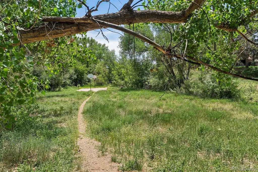 4202 E Maplewood Way Centennial CO 80121