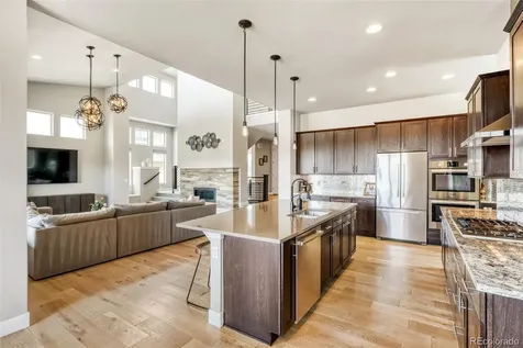 10491 N Sky Drive Lone Tree CO 80124