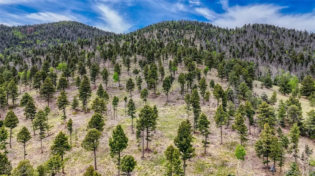 440 County Road 356 Westcliffe CO 81252