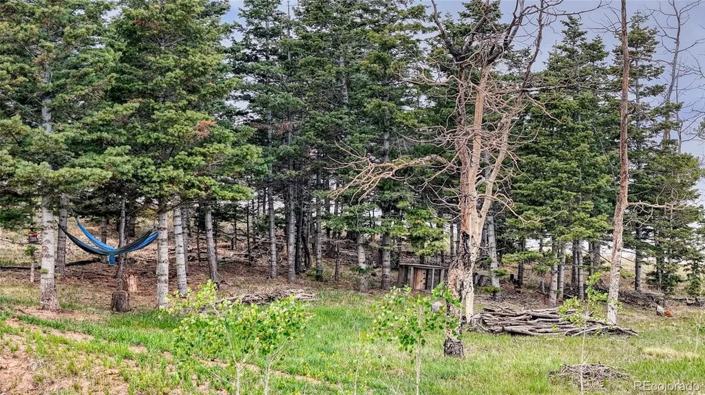 440 County Road 356 Westcliffe CO 81252