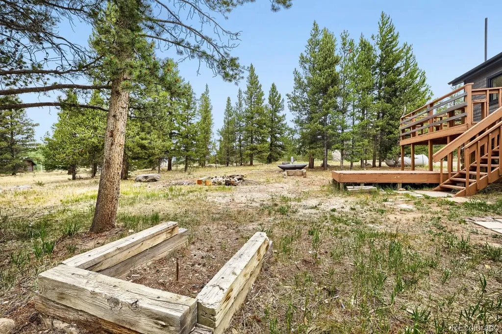 93 Prospect Drive Alma CO 80420