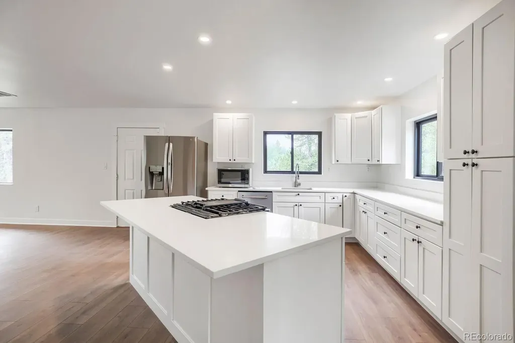 93 Prospect Drive Alma CO 80420