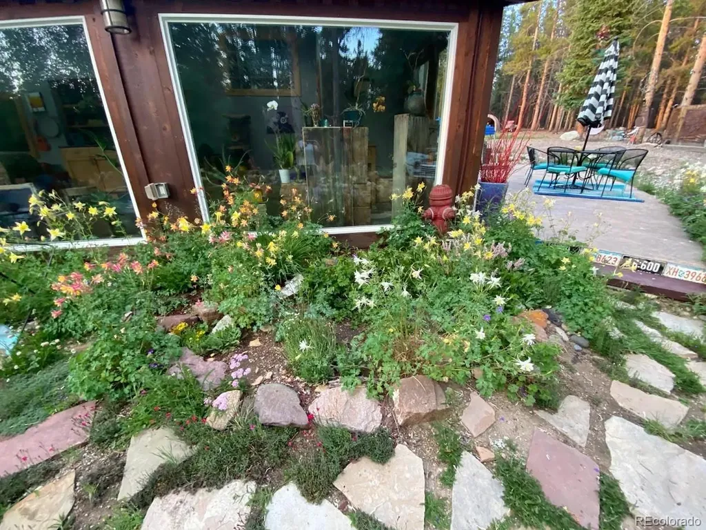 987 Ruby Lane Leadville CO 80461