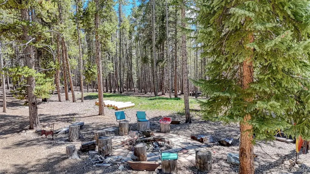 987 Ruby Lane Leadville CO 80461