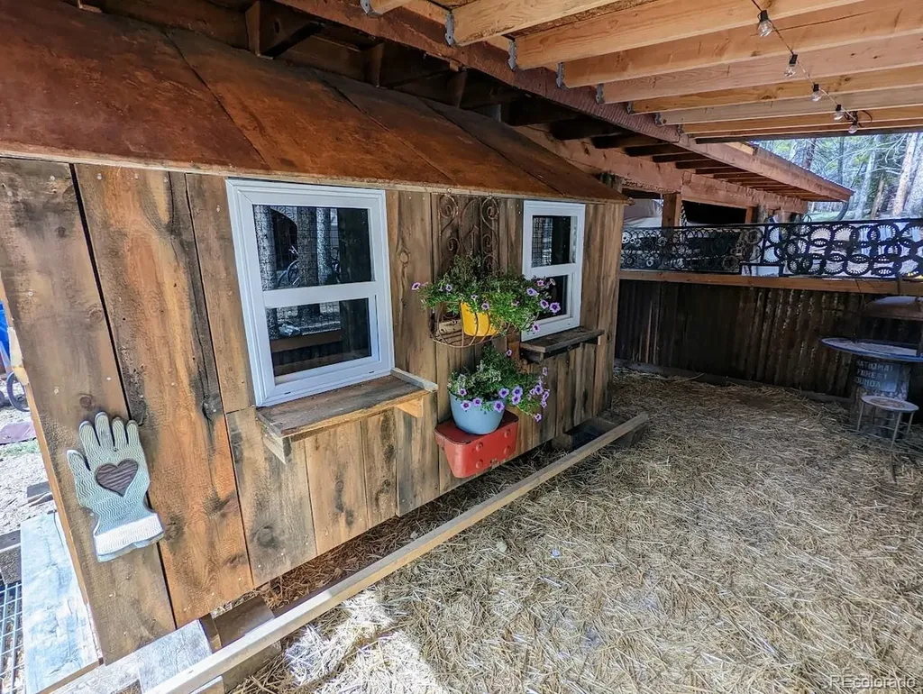 987 Ruby Lane Leadville CO 80461