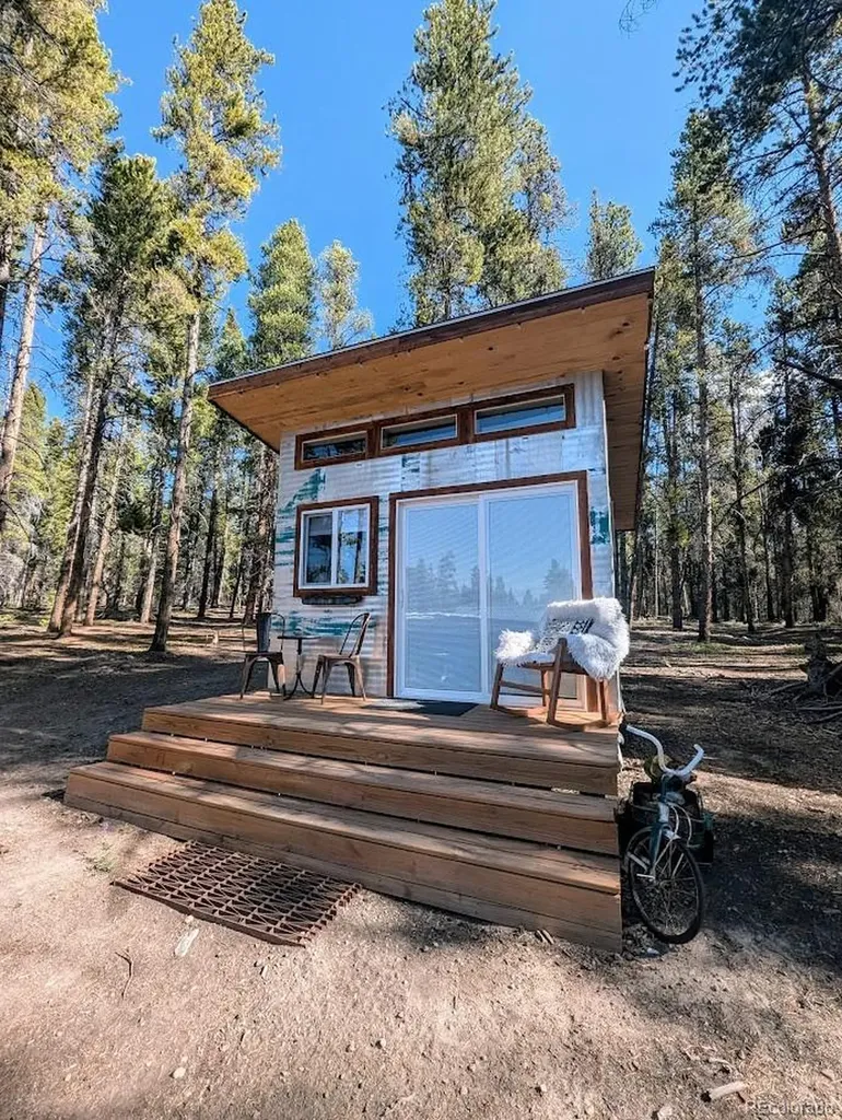 987 Ruby Lane Leadville CO 80461