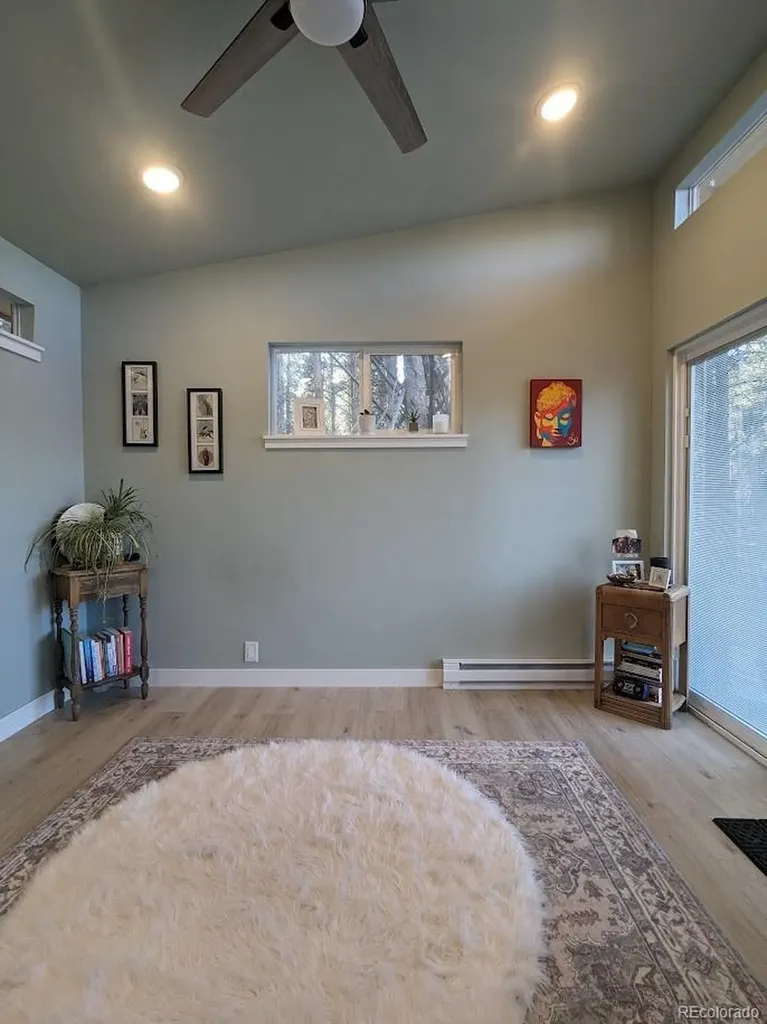 987 Ruby Lane Leadville CO 80461