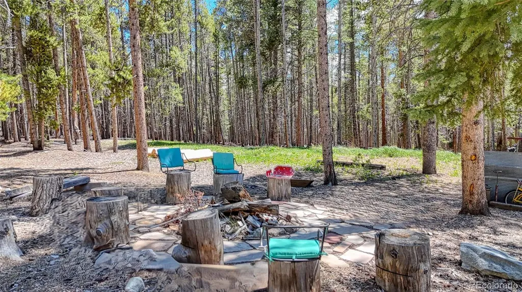 987 Ruby Lane Leadville CO 80461