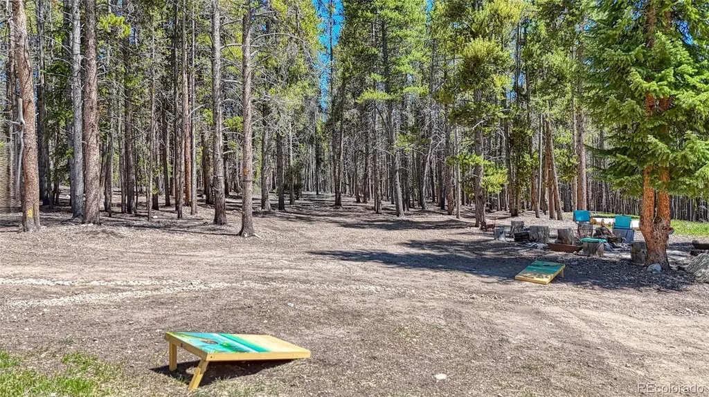 987 Ruby Lane Leadville CO 80461