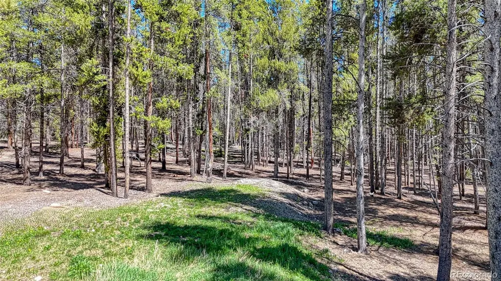 987 Ruby Lane Leadville CO 80461