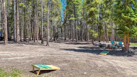987 Ruby Lane Leadville CO 80461