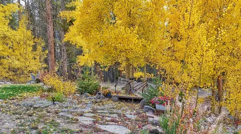 987 Ruby Lane Leadville CO 80461