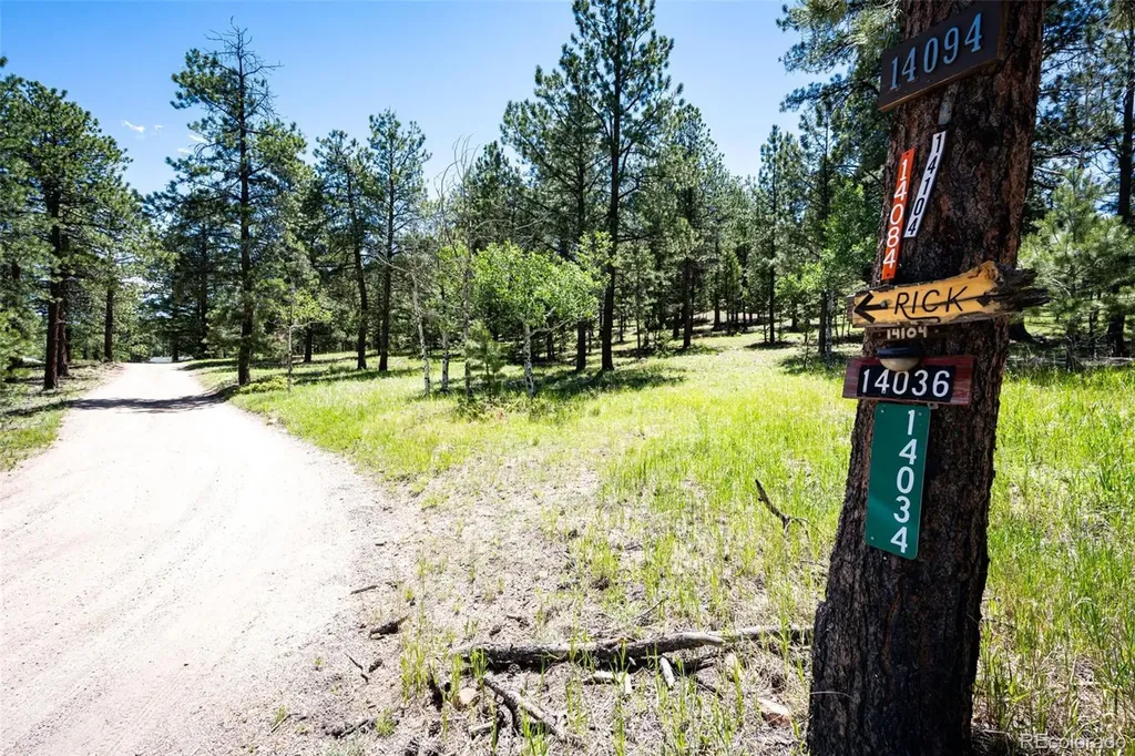 S Wandcrest Drive Pine CO 80470