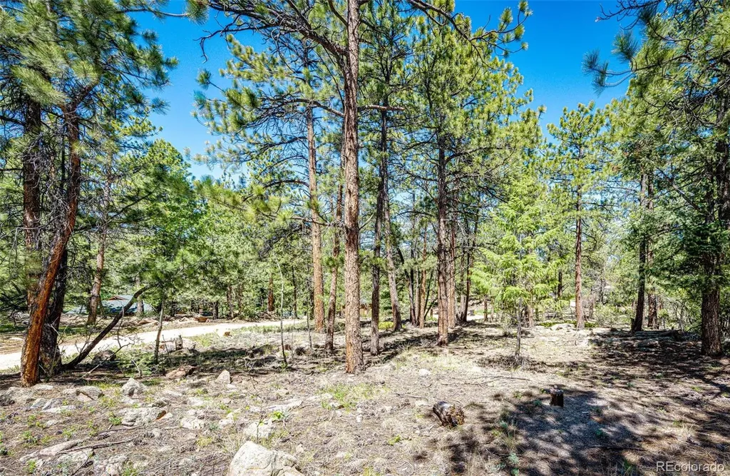 S Wandcrest Drive Pine CO 80470