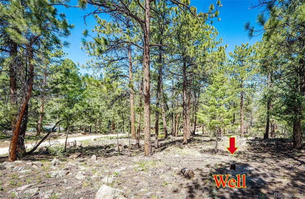 S Wandcrest Drive Pine CO 80470